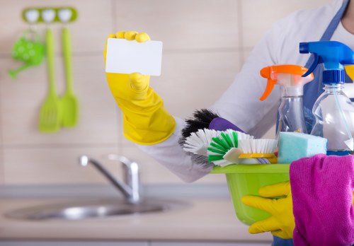 Totteridge Carpet Cleaners professional carpet care introduction