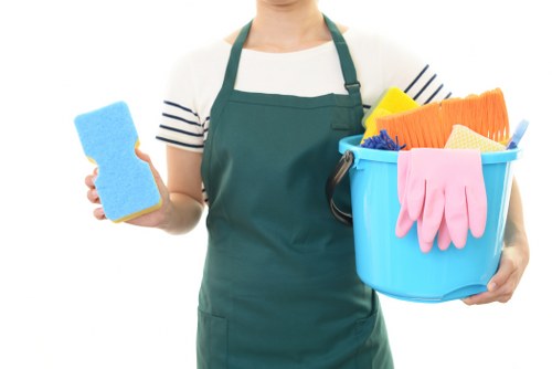 Professional carpet cleaning in a Totteridge home
