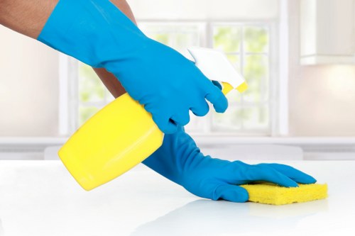 Totteridge carpet cleaners preparing equipment safely in a home