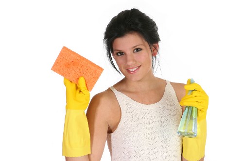 Professional Totteridge carpet cleaning assessment and method