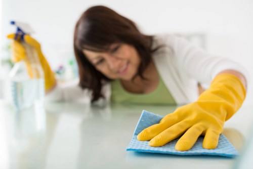 Carpet cleaning policy review and hygiene practices