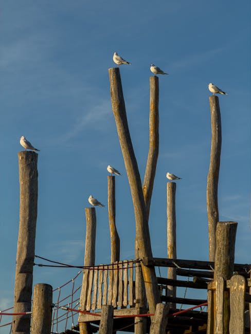 A wooden playground structure with tall, weathered wooden poles varying in height, some with birds perched on top, against a clear blue sky. The structure includes a platform with a rope net ladder, a